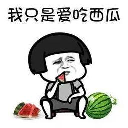 娱乐吃瓜资料在哪里看啊,吃瓜资料一网打尽，尽在这里！