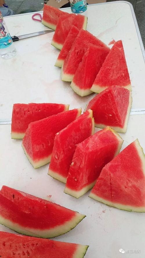 免费吃瓜每日大赛是真的吗