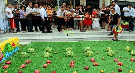 吃瓜大会完整版,揭秘娱乐圈幕后真相与精彩瞬间