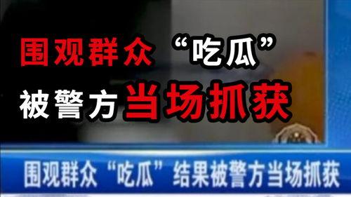 快乐吃瓜娱乐新闻视频下载